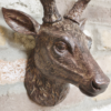 Stag Head