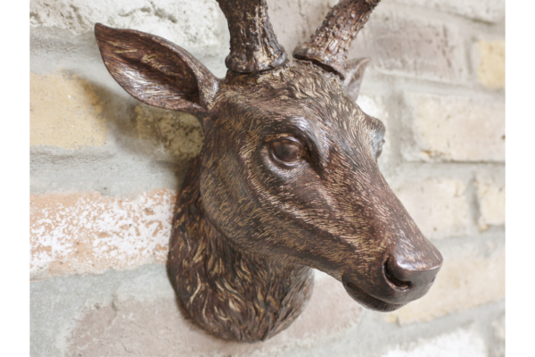 Stag Head