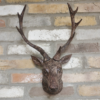 Stag Head
