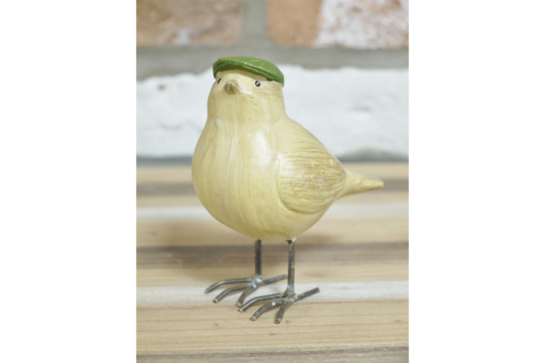 Bird with Flat Cap