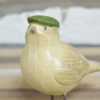 Bird with Flat Cap
