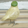 Bird with Flat Cap