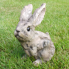 Bunny - Wood Effect