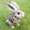 Bunny - Wood Effect