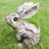 Bunny - Wood Effect