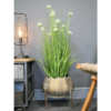 Plant Stand