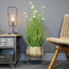 Plant Stand