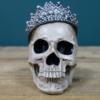 Skull Decoration