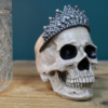 Skull Decoration