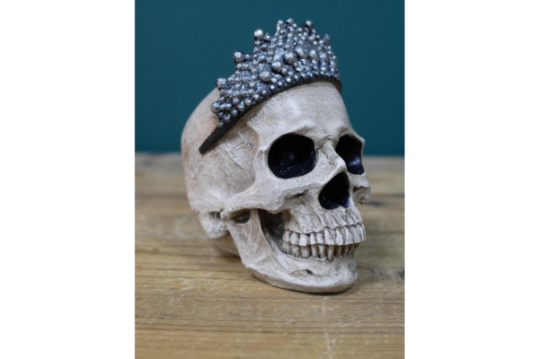 Skull Decoration