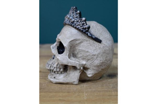 Skull Decoration
