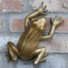 Frog Wall Decoration