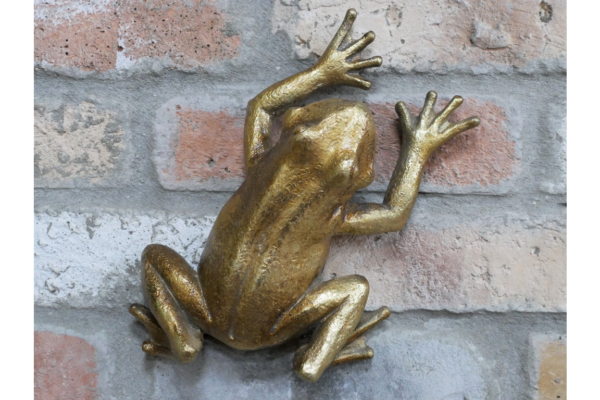Frog Wall Decoration