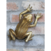 Frog Wall Decoration