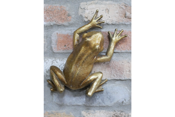 Frog Wall Decoration