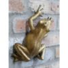Frog Wall Decoration
