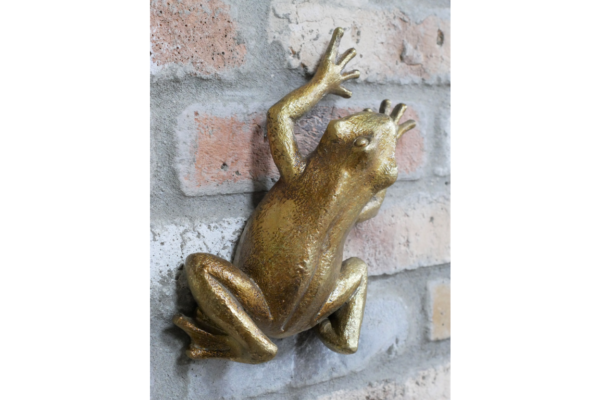 Frog Wall Decoration