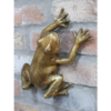 Frog Wall Decoration