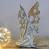 Fairy