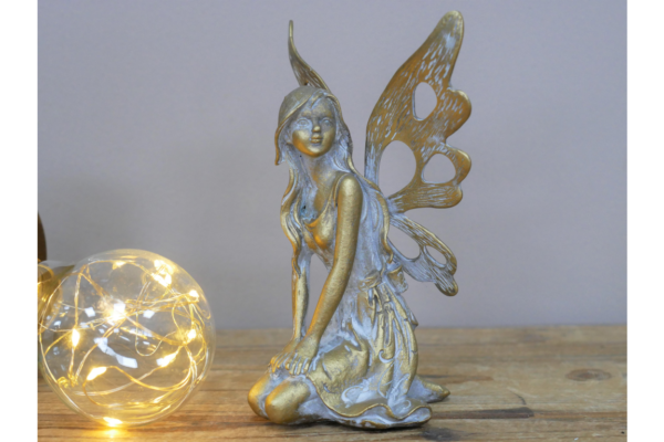 Fairy