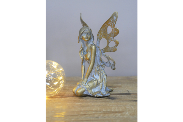 Fairy