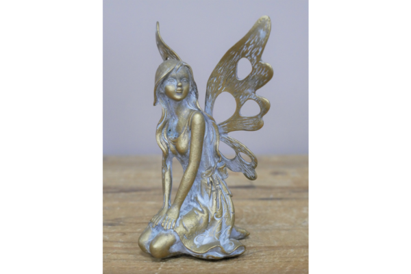 Fairy
