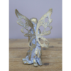 Fairy