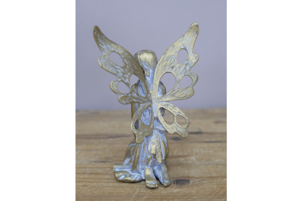 Fairy