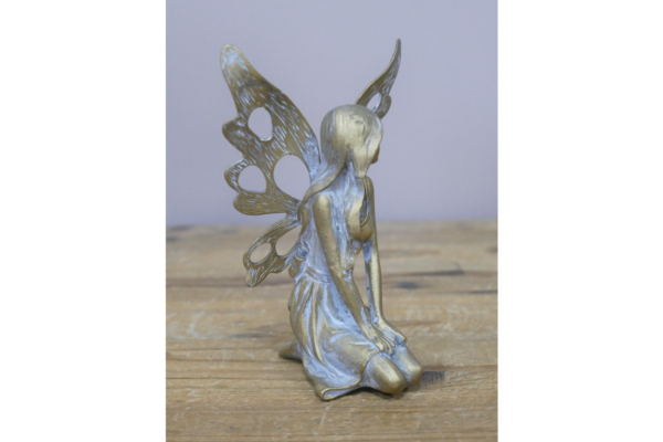 Fairy