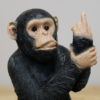 Up Yours Monkey - Small