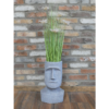 Head Planter