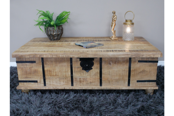 Large Trunk / Coffee Table