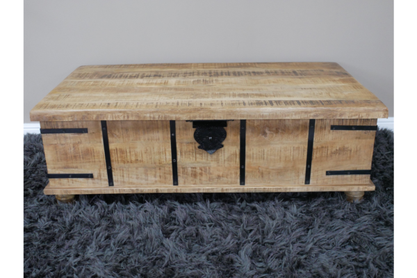 Large Trunk / Coffee Table