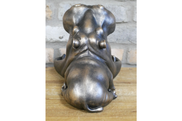 Big Mouth Hippo