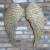 Angel Wings