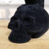 Crow On Skull