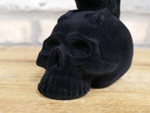 Crow On Skull