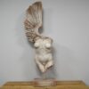 Body With Single Wing