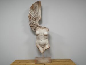 Body With Single Wing