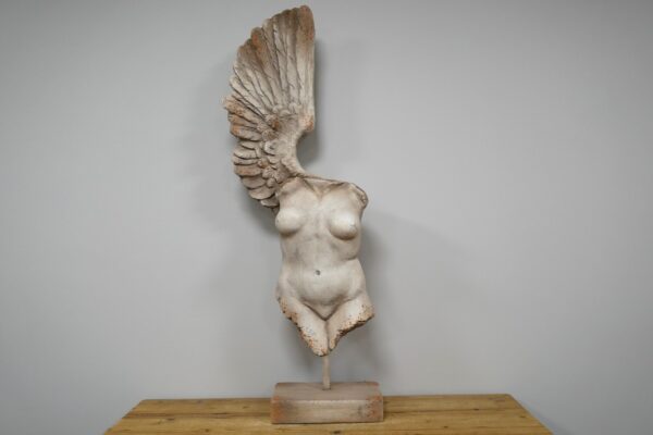 Body With Single Wing