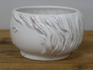 Face Vase