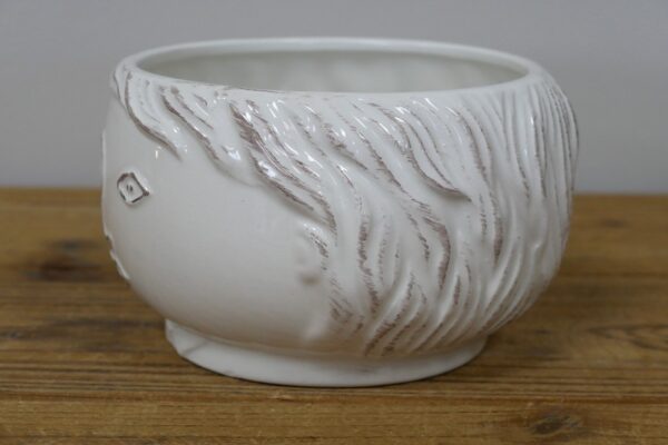Face Vase
