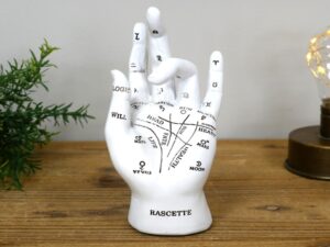Palmistry Hand