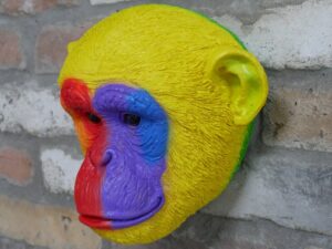 Rainbow Monkey Head