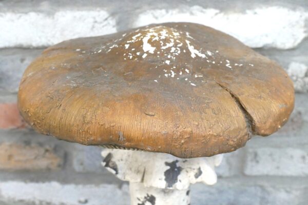 Mushroom