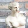 Venus Statue