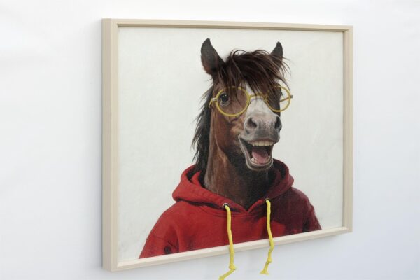Horse In A Red Hoodie