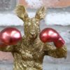 Kangaroo Boxer