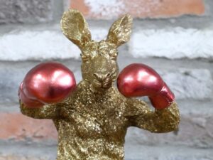 Kangaroo Boxer