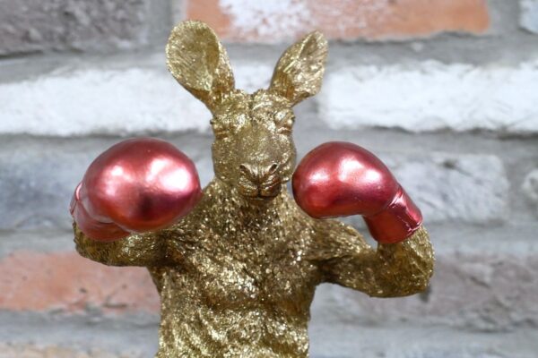 Kangaroo Boxer